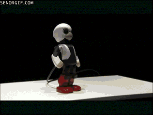 cheezburger funny cute