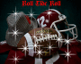 picture football alabama