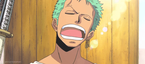 one piece roronoa zoro