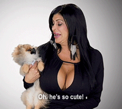 realitytvgifs puppy vh1