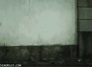 cheezburger art video games win