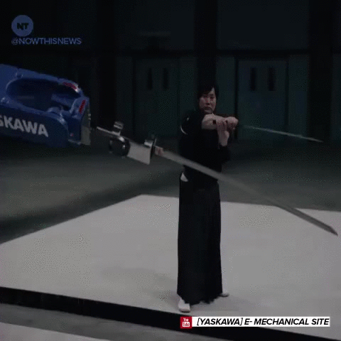 robot samurai swordplay