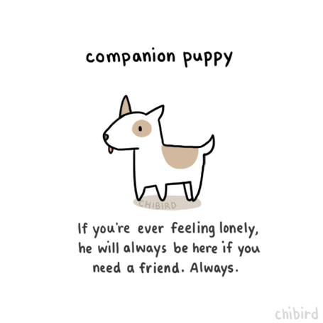 puppy companion chibird