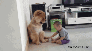 baby puppy play