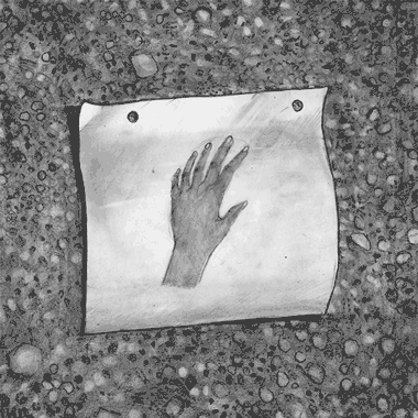 mirandapfeiffer art miranda pfeiffer