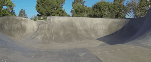 dog skateboarding