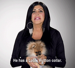 realitytvgifs puppy vh1