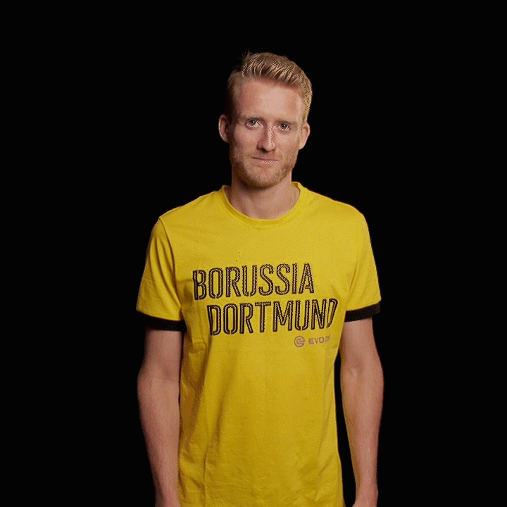bvb borussia dortmund