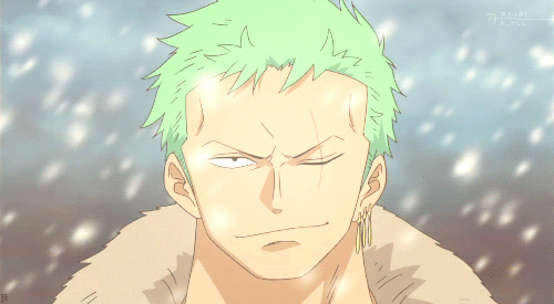 one piece zoro