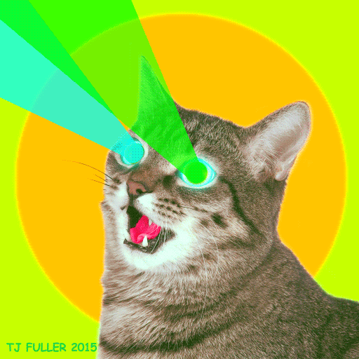 cat gif lasers