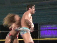 pro wrestling matches intergender