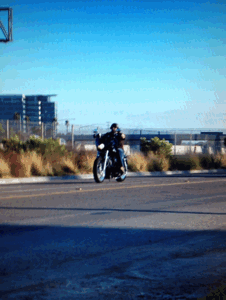 motorcycle harley wheelie