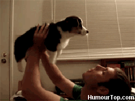 funny cute