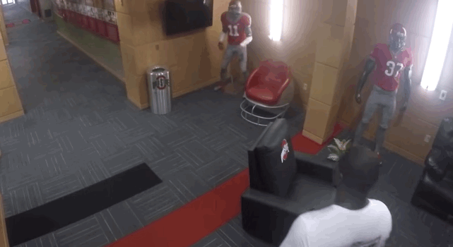 jones living cardale