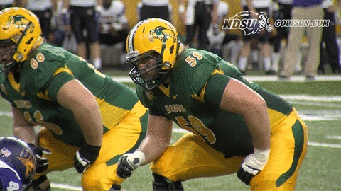 ndsuathletics bison ndsu north dakota state