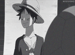 one piece luffy