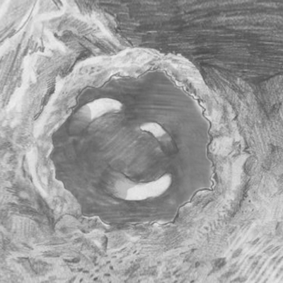 mirandapfeiffer art miranda pfeiffer