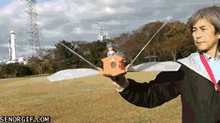 cheezburger weird wtf