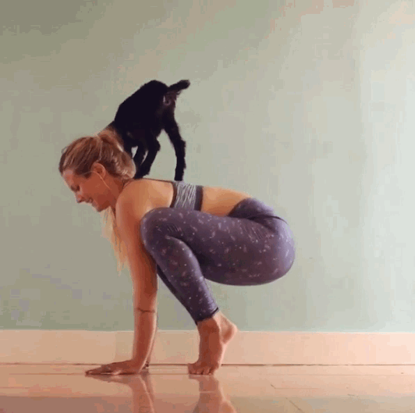 yoga