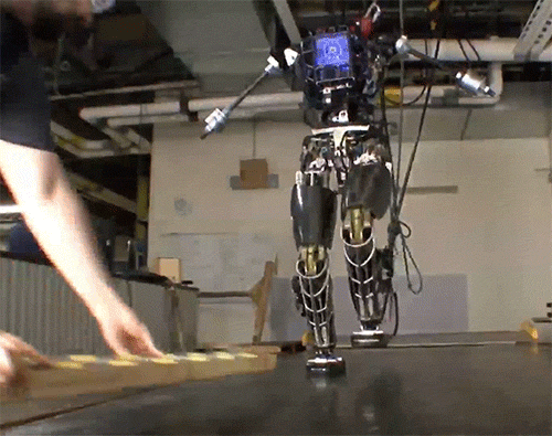 robots reports evolving