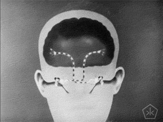 ears hearing medical science