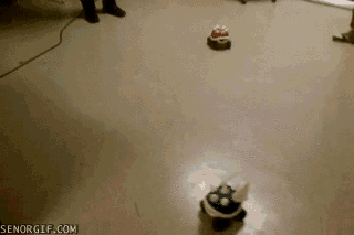 cheezburger video games race cars