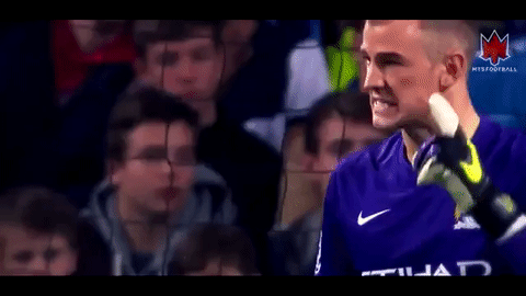 manchester city hart joe