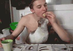 cat eating