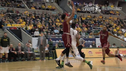 ndsuathletics bison ndsu north dakota state