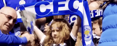 lcfc epl leicester city fc