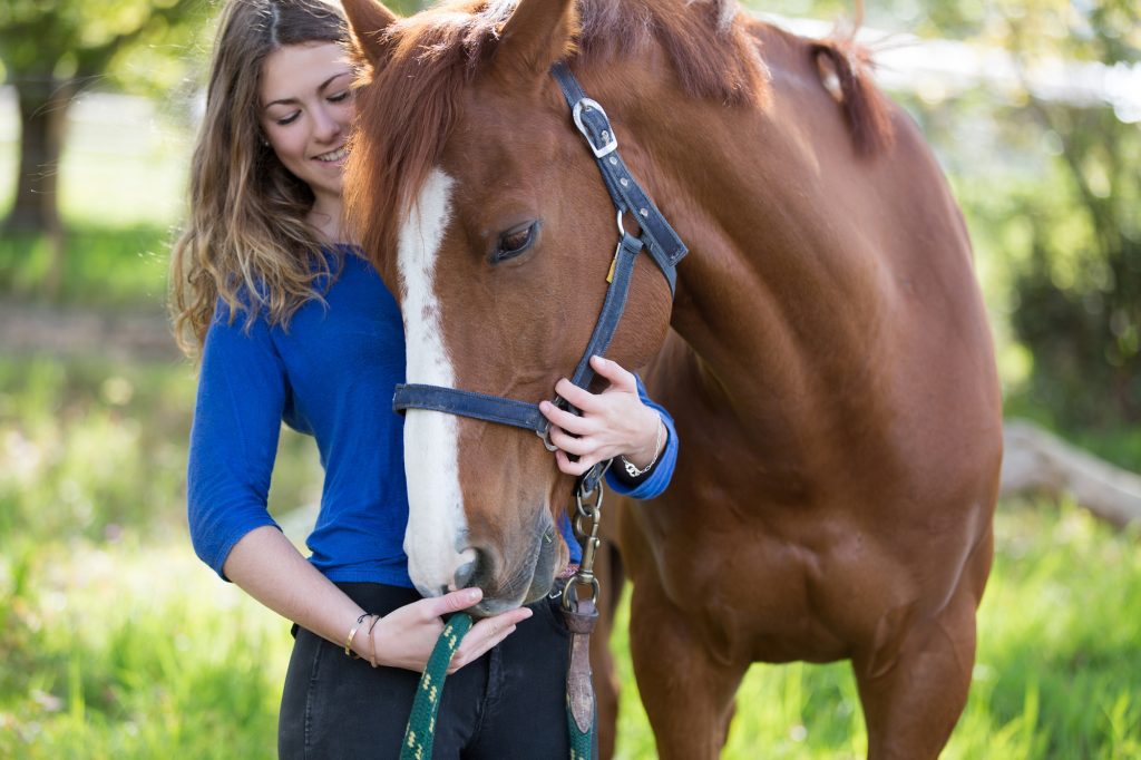 horse care