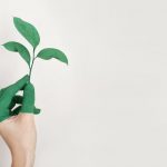 5 Ways to Reduce the Ecological Footprint of Your Business
