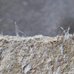 Avoiding the Health Hazard: How to Identify Asbestos in Your Office