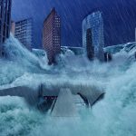 NFIP Policy Problems: The National Flood Insurance System Is Broken