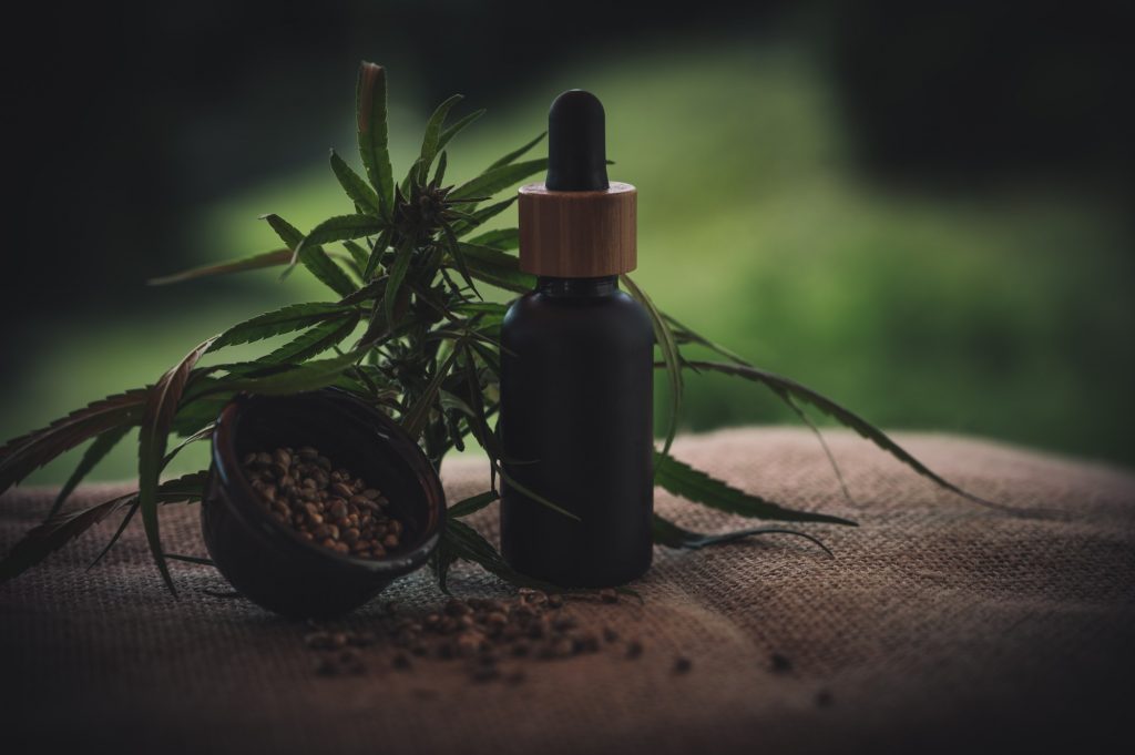 cbd oil, seeds, and plant