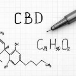 9 of the Most Incredible CBD Studies Ever Published: 2020 Edition