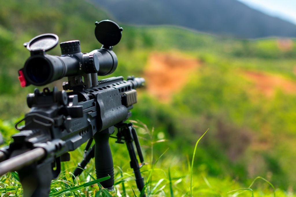 gun with scope