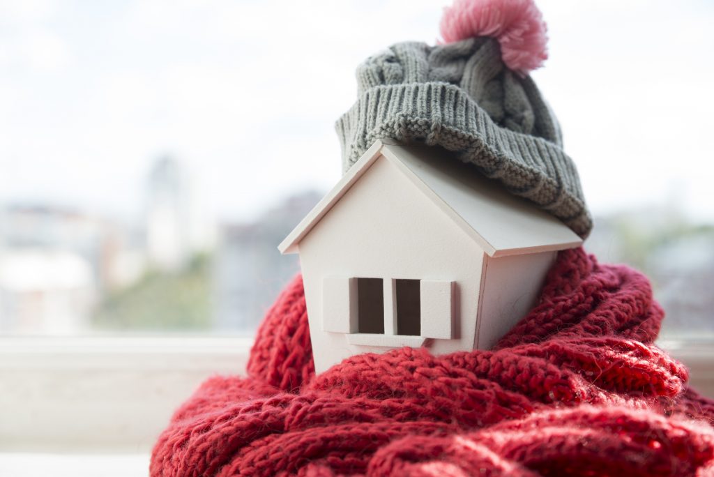 house in warm scarf and hat