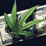 How to Get Into the Marijuana Industry: 5 Tips for Beginners