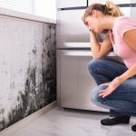 What Does Mold Look Like? 5 Signs It's in Your Home