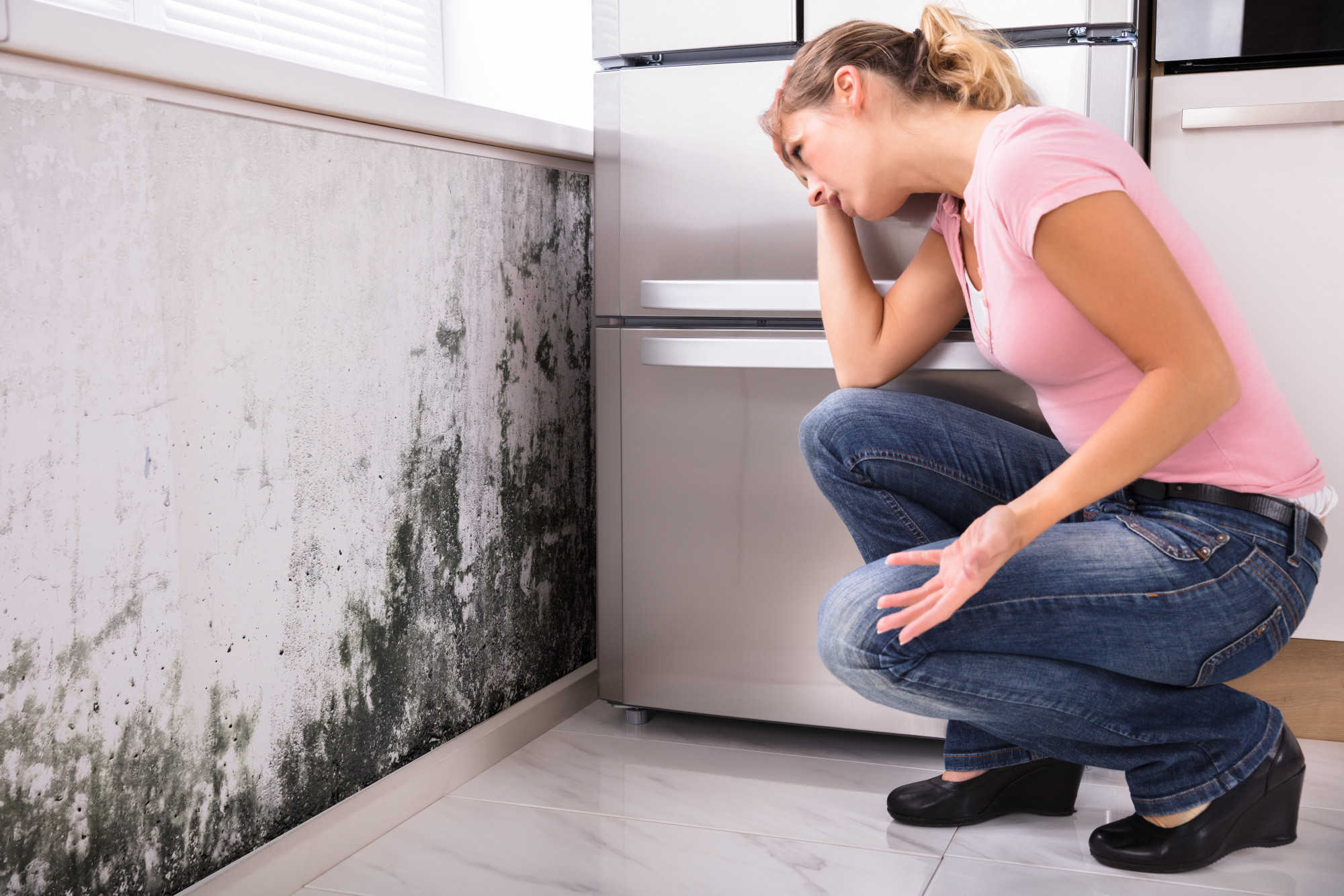 What Does Mold Look Like? 5 Signs It's in Your Home