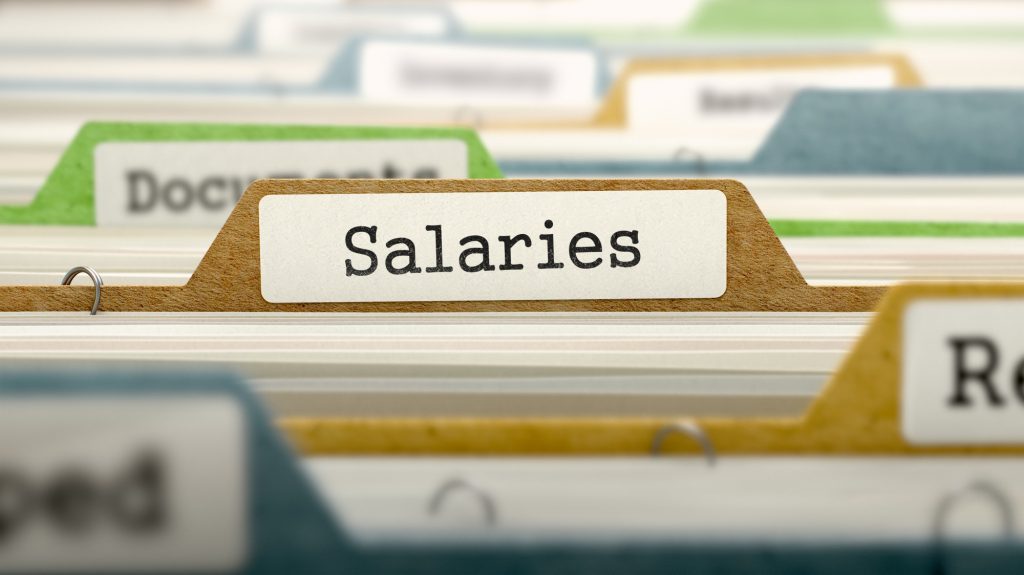 Small Business Salary Files