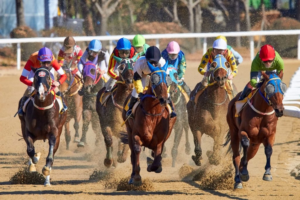 Horse Racing Undwerway