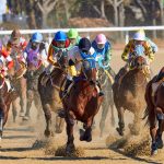 How to Bet on Horse Races: A Helpful Guide for Beginners