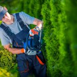 How Much Does Commercial Landscaping Cost on Average?