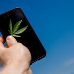 How to Buy Weed Online (Legally) Without Getting Scammed